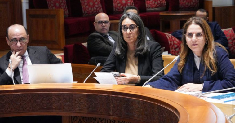 اجتماع لجنة المالية والتنمية الاقتصادية بحضور  المدير العام لـCNSS