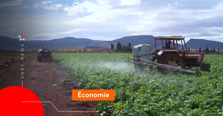 Agriculture