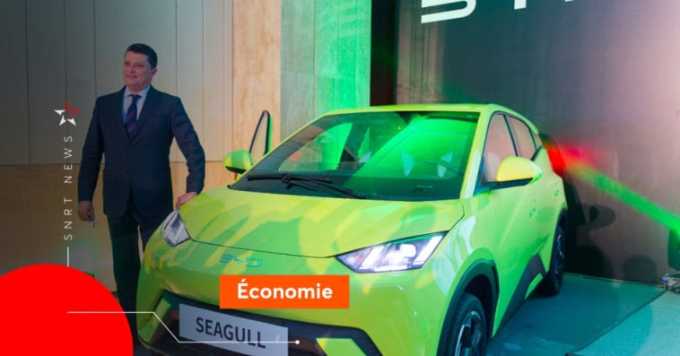 BYD SEAGULL