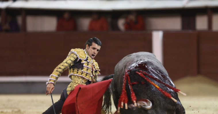 Corrida