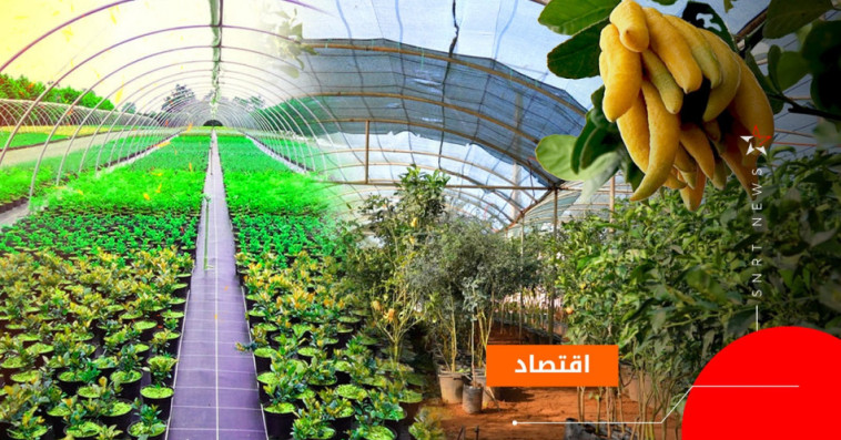 الزراعة الاستوائية