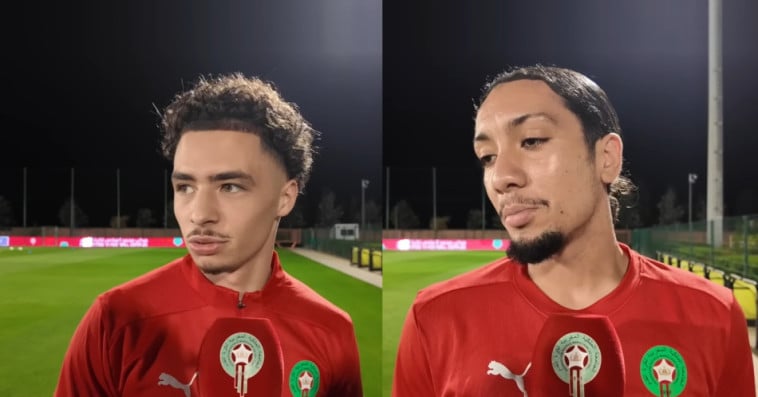 les lions
