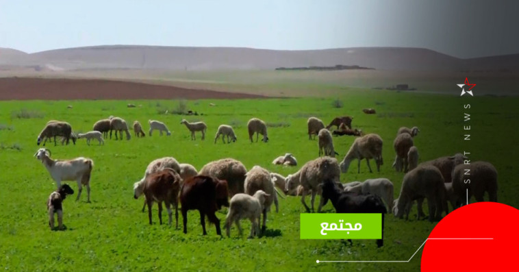 أمطار الرحامنة