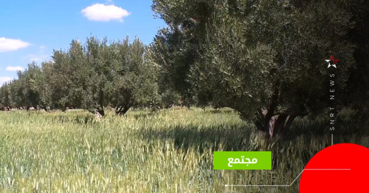 أمطار مراكش