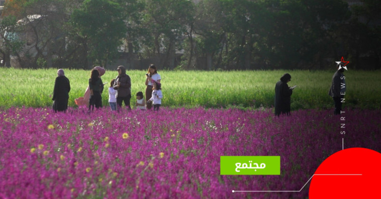 غابة الشلالات المحمدية