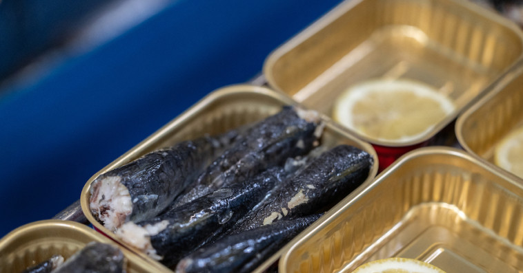 Sardine 