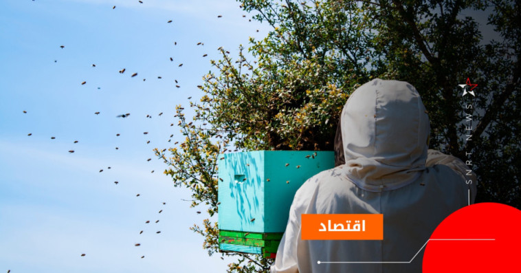 النحل