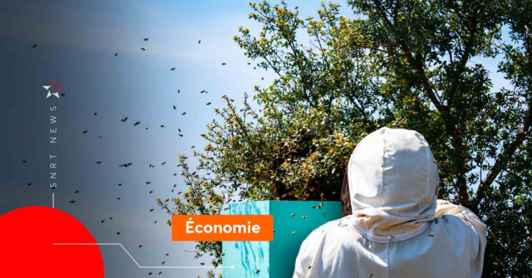 Apiculture 