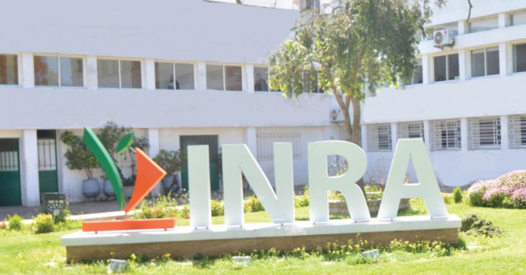 Institut National de la Recherche Agronomique (INRA)