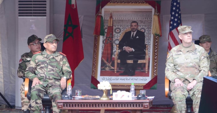 الأسد الإفريقي