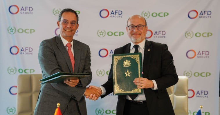 OCP/AFD