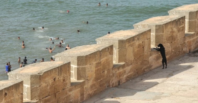 حرارة