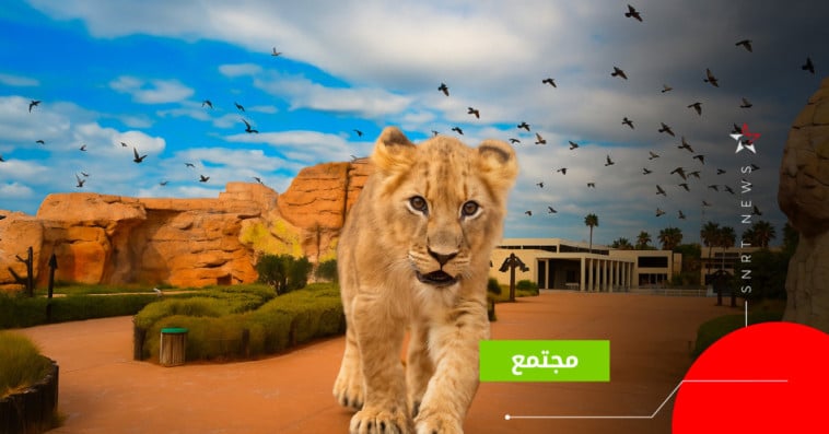 zoo