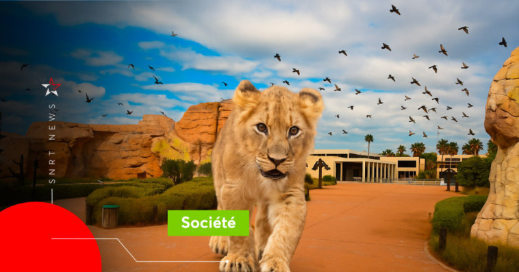 Zoo