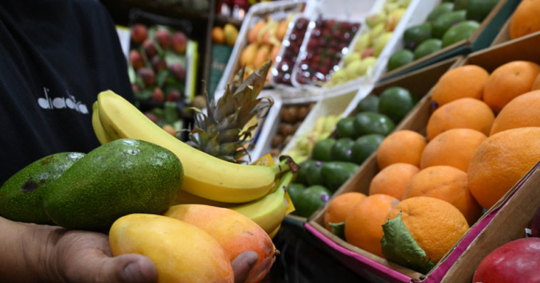 Alimentation