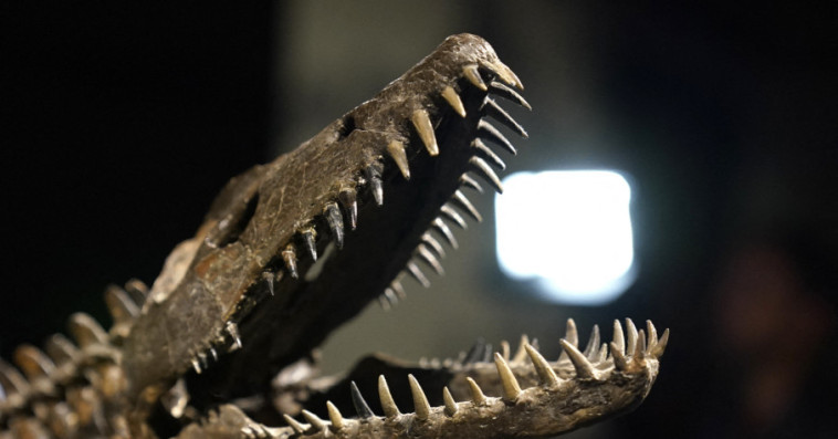 Dinosaure