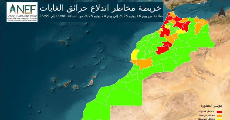 الوكالة الوطنية للمياه والغابات
