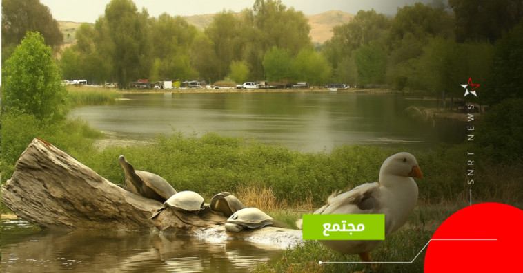 بحيرة أمغاس