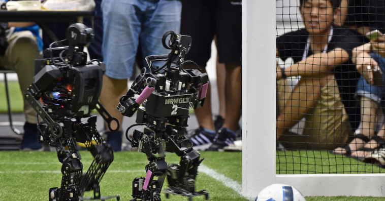 Robots humanoïdes