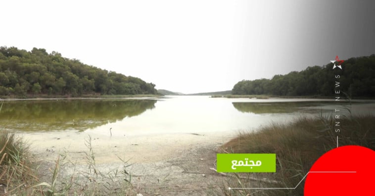 وبغابة