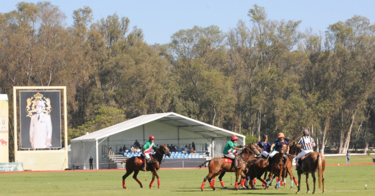 Polo