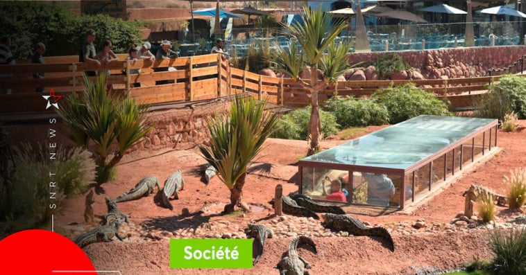 Crocoparc Agadir