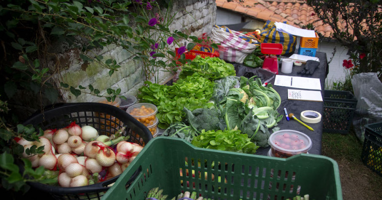 Les produits bio