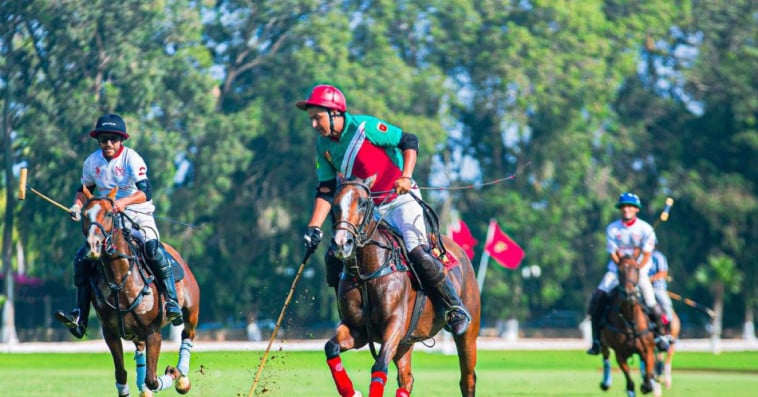Polo