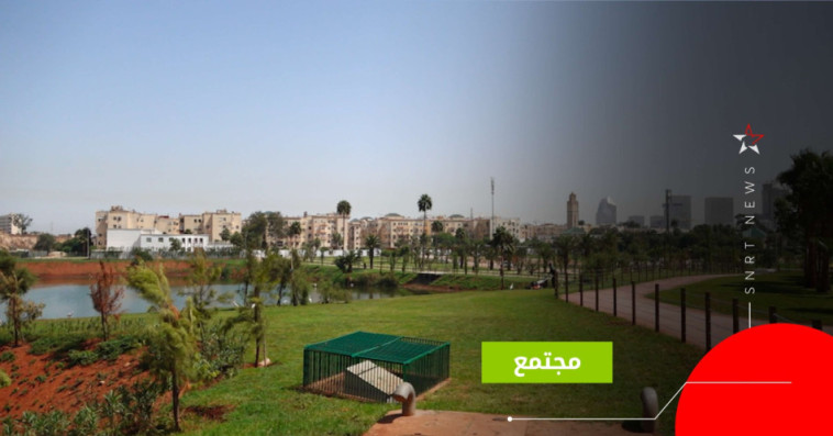 ضاية الولفة