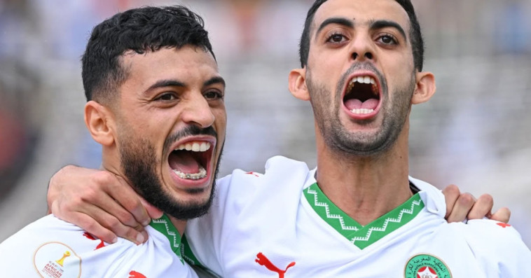 Lions de l'Atlas locaux