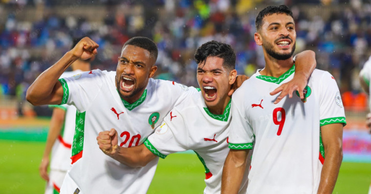 Lions de l'Atlas locaux