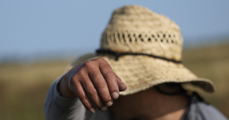 Changements climatiques