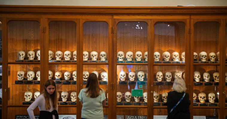 Mütter Museum 