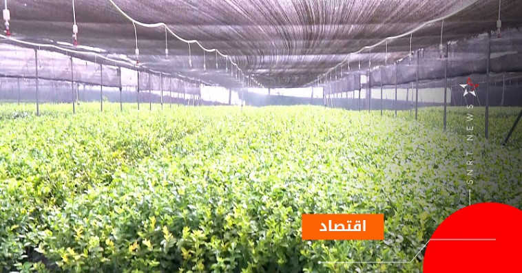 فلاحة