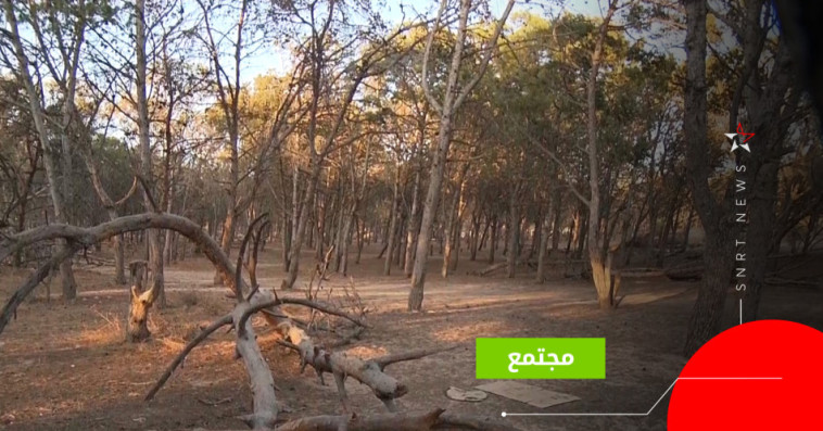 غابة آسفي