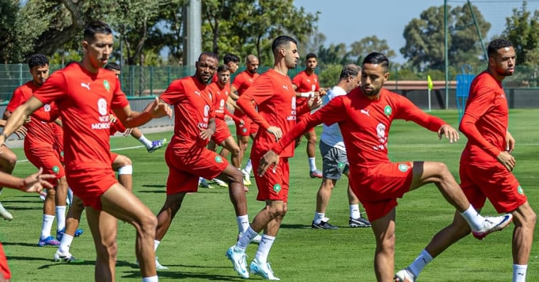 Lions de l'Atlas