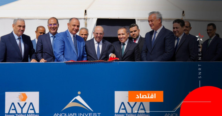 أنوار إنفيست 