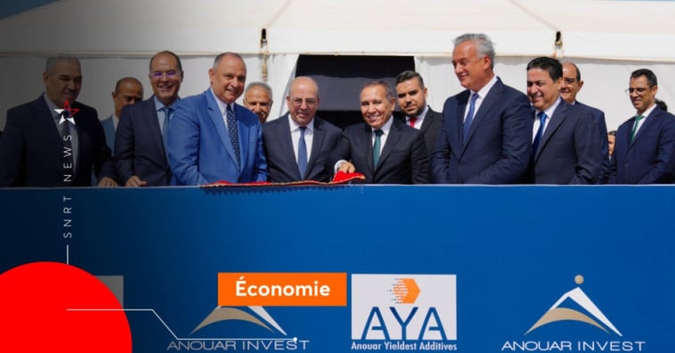 Anouar Invest