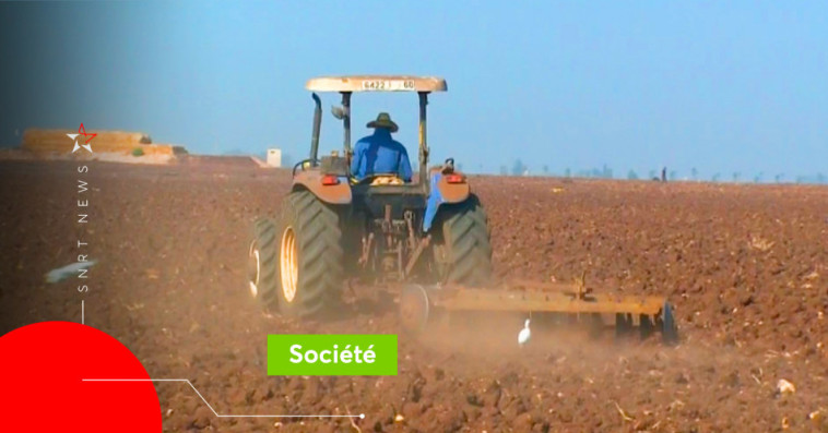 Agriculture