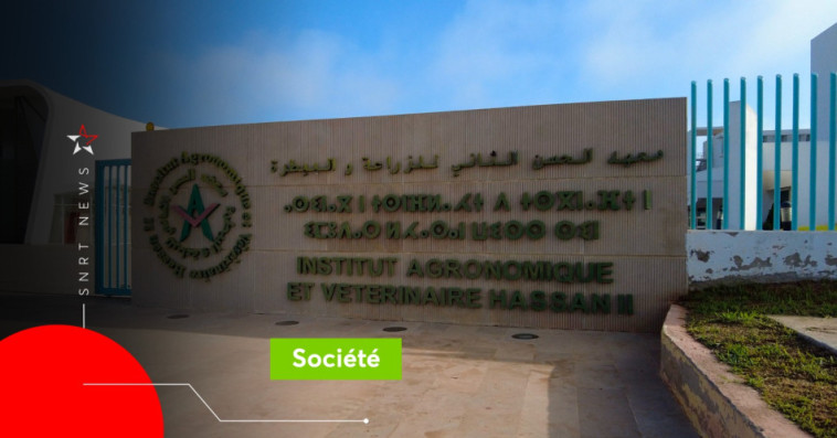 IAV