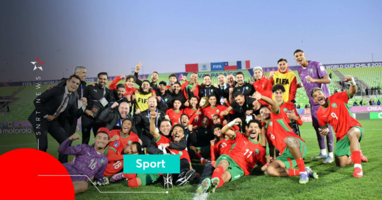 Lionceaux U20