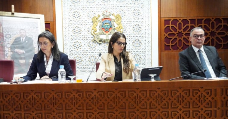 لجنة المالية والتنمية الاقتصادية 