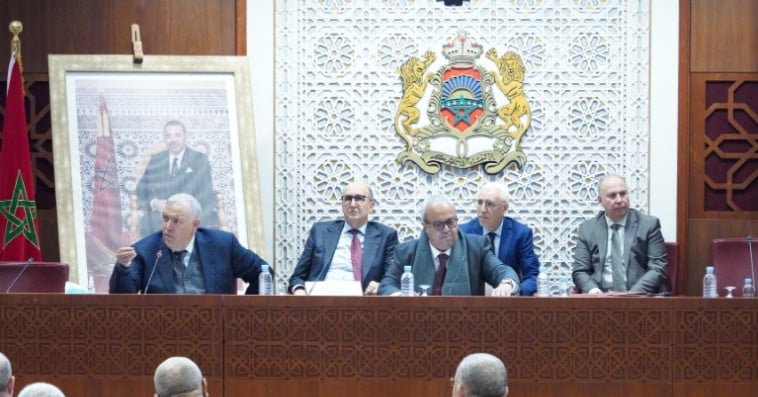 لجنة الداخلية بمجلس النواب - عبد الوافي لفتيت