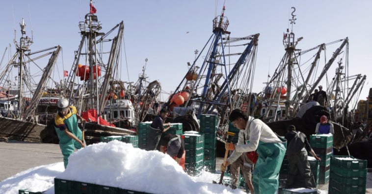 port laayoune_pêche