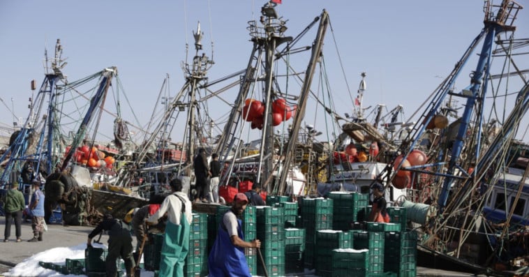 port laayoune_pêche