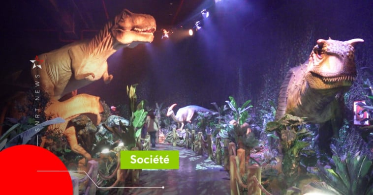 Dinosaures