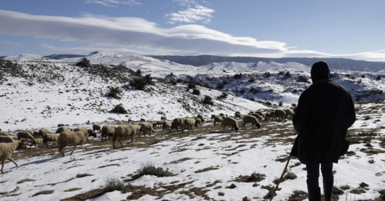 ثلوج-ثلج-Neige
