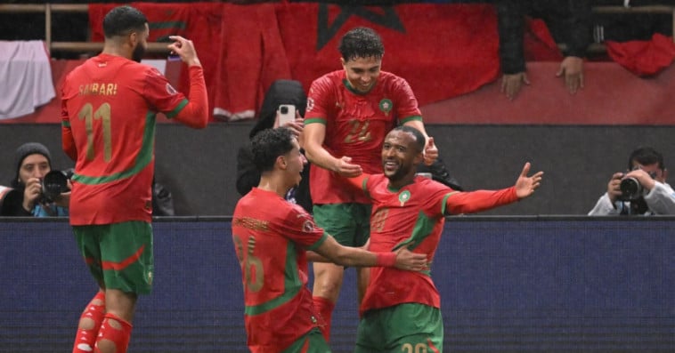 Lions de l'Atlas
