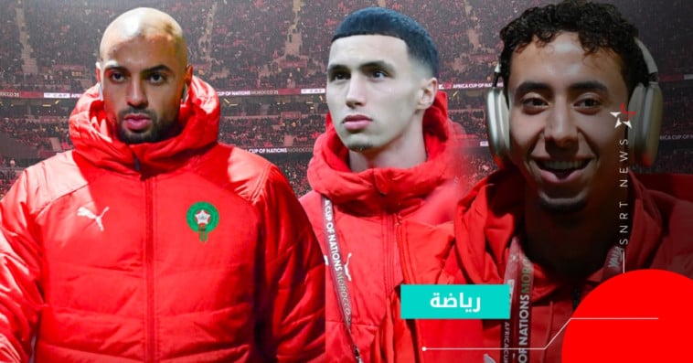 les lions