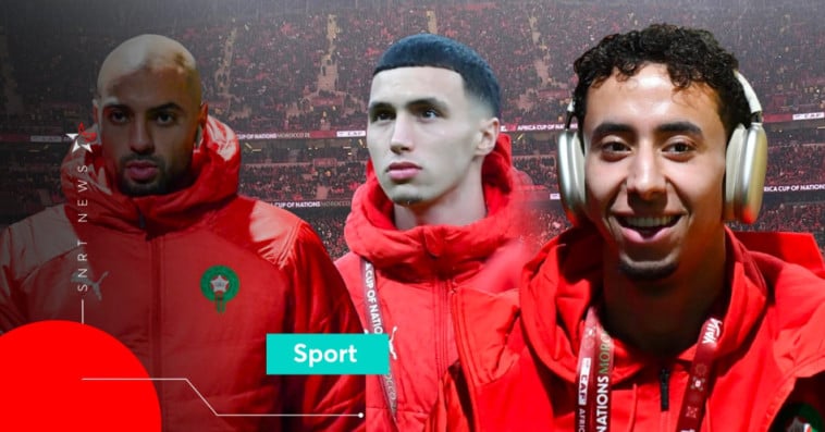 Lions de l'Atlas